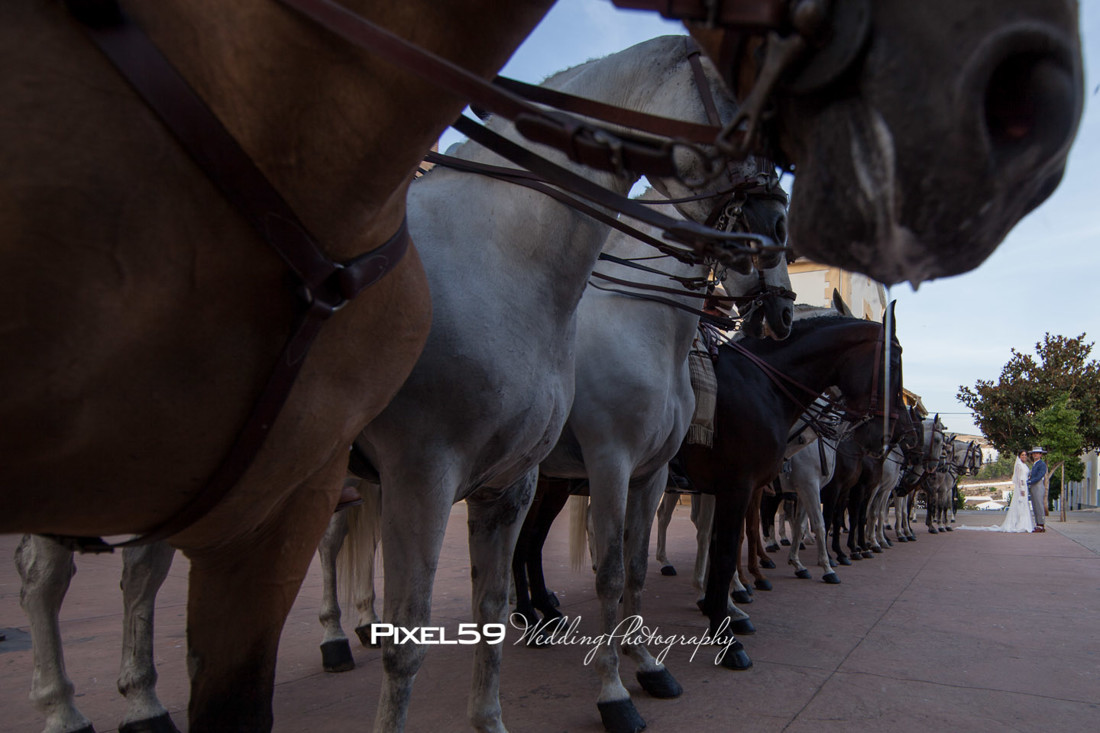 Pixel59-wed-boda-rociera- 18